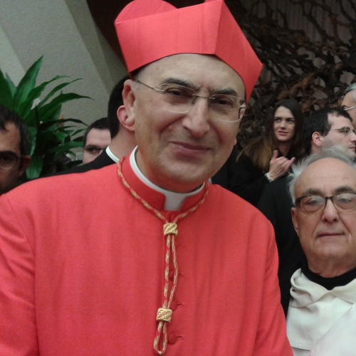 Cardinale S.E. Mario Zenari